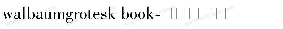 walbaumgrotesk book字体转换